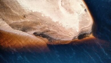 alefudoli summary and attributes