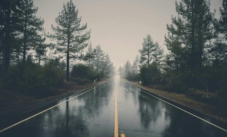 bhagyalaxmi result complete guide