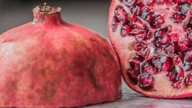 khozicid97 usage benefits outlined