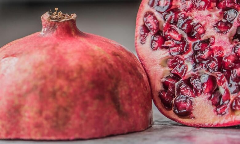 khozicid97 usage benefits outlined