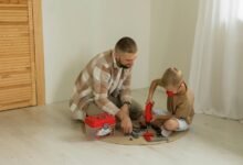 lakshmi game overview guide