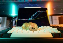 risk and value analysis