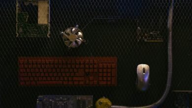 apex momentum neural node