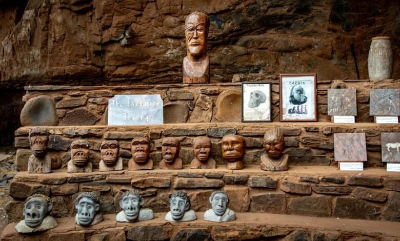 tactical scaling evolution guide