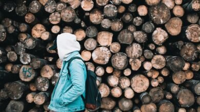 user activity monitoring logs